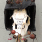 Memento Mori Kunst, Kunst aus Tierschädel, Schnittmuskel Kunst, 