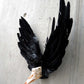 der schwarze Schwan, Artefakt aus der Welt von Schnittmuskel, Schwanschädel, schwarze Flügel